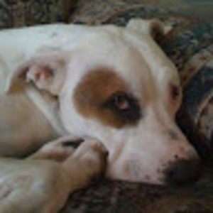 Meet your Posher, Derek